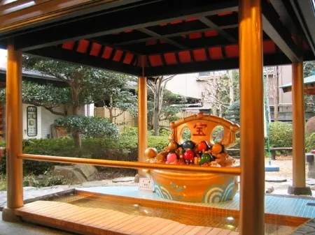 Gero Onsen Hanarenoyado Tsukinoakari