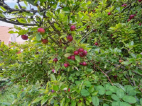 "Magh" - 9.8km from the Sea Hotels in Tonder