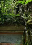 Tiantai Shanqing Homestay - ห้องครัว