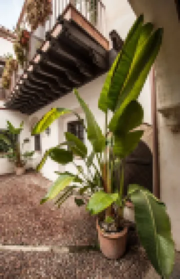 尤德利亞露台公寓