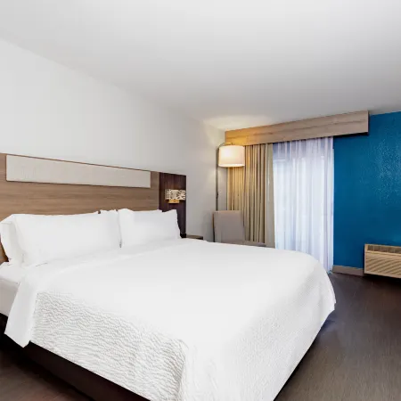 Holiday Inn Express CLEARWATER EAST - ICOT CENTER by IHG