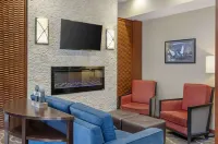 Comfort Suites West Indianapolis - Brownsburg