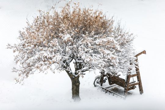 팔공산 풍경 이미지