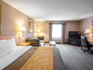 Quality Inn Nashville - Bloomington