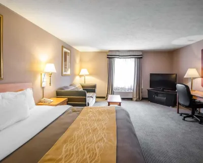 Quality Inn Nashville - Bloomington Hotels in Nashville