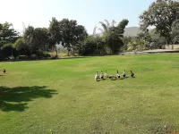 Holiday Cottage Inn Hotels in Gorhe Khurd