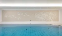 Park Hotel Bellevue - Uima-altaat