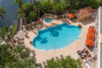 Hilton St. Petersburg Carillon Park - piscine