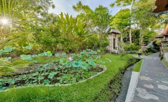 Alam Jiwa Ubud