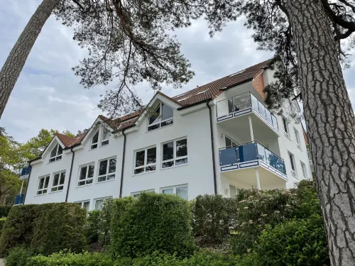 Blaumuschel (Lub118)