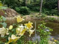Goseong Family Picnic Pension