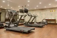Wingate by Wyndham Jackson/Ridgeland Hotels in Ridgeland