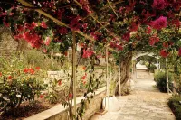 Agali Hotel Paxos Hotels in Paxoi
