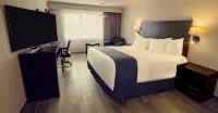Gamma Tampico Hotels in Tampico