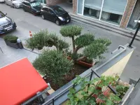 Hotel Lions