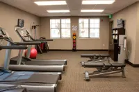 Residence Inn Sebring - Phòng tập thể hình