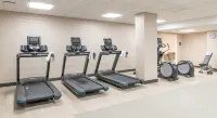 Hilton Garden Inn Flint Downtown - Gym