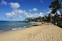Stunning Ocean View - Steps from the beach - Kahala 623