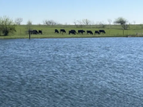 Country, Cows & Fishing Lake Studio- 2nd floor