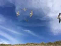 Vacation apartment on Himmelgrün farm