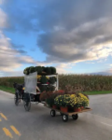 Spa Cottage in Tranquil Amish Country, Jetted Tub, Outdoor Patio