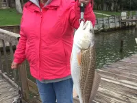 Fish, Relax and Get-A-Way /Arroyo City, Texas Hotels in Willacy County