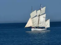L'escale, Appartement au Cœur de Granville