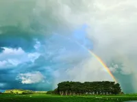 Gorgeous Cottage with open fireplace and Fire Pit Hotels in Lancefield