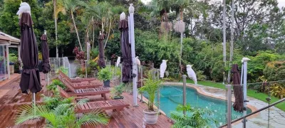 Healing Garden Cabins - Villa Ubud