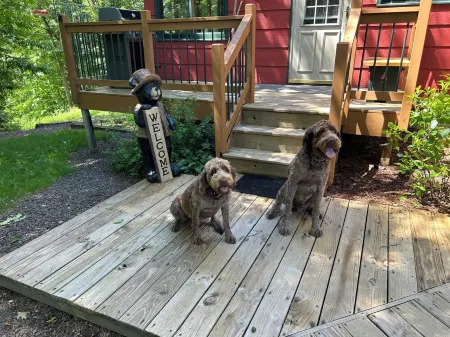 Woodland Trails Cabin on 130 acres with wildlife and miles of private trails