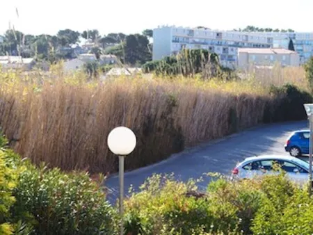 Charming T1 completely renovated, with large terrace, in the heart of Giens. Отели рядом с достопримечательностью «Le port de l'ile de Porquerolles»