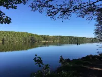 Charming, spacious vacation apartment in the middle of the forest on Ratzeburger Küchensee Hotels in Herzogtum Lauenburg