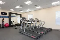Hampton Inn & Suites Chicago/Schaumburg - Gym