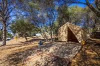 Picayune Retreat: Spa/EV/Play-Structure/Pet-Loving/Games and More''