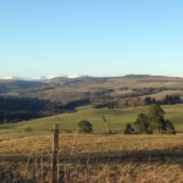 Berry View - Idyllic cosy cottage on berry farm