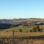 Berry View - Idyllic cosy cottage on berry farm Hotels in Blairgowrie