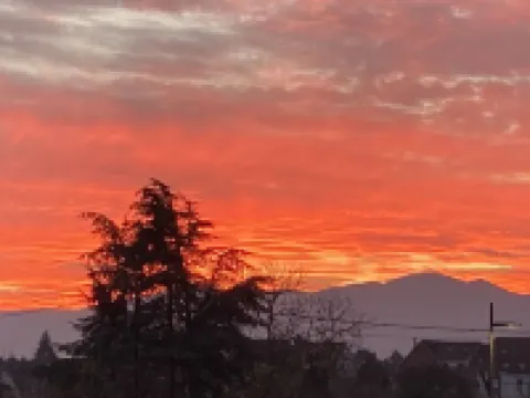 Apartment in detached house