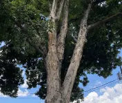 Relax in the heart of Washington wine country Hotels in Prosser