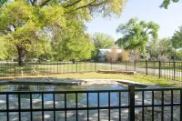 On the Beach, Teddy Roosevelt Stayed Here. Pet friendly, large fenced property