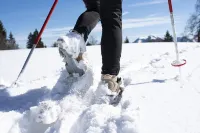 "Silberdistel" Beautiful View Hotels in Oberreute