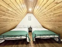 Raccoon Tiny Cabin on Lake with Game Center