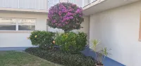 2 Min Walk to the Beach.... 5 Min Drive to the Cruise Ships! Excellent Location!