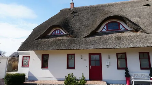 BODDENgut - Holiday home "Dünengras" in nature and water Hotels in Saal
