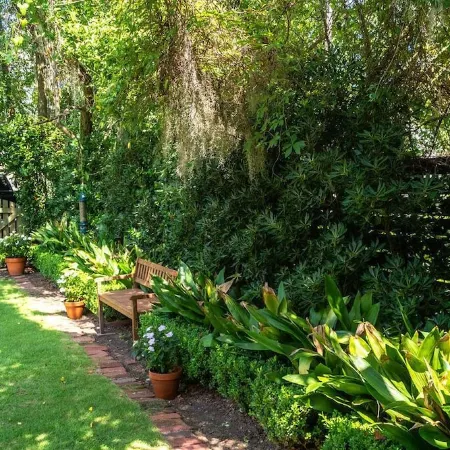 The Wren Guesthouse