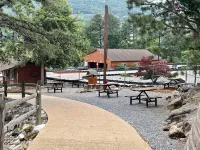 Massanutten Gameroom Retreat - Now with Home Gym!