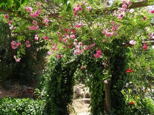 我的房間-維娜別墅®- TER鄉村民宿