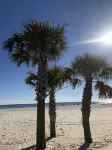 Pet Friendly! Private Pool - Beach, Restaurants, Entertainment Minutes Away!