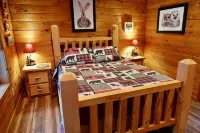 The Perfect Adirondack Getaway Cabin -Hike! Swim! Bike! Fish! Ski! Relax!