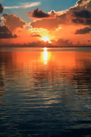 Beachfront Villa on Serene Gulf of Mexico