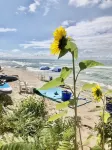 The private Lake MI beach is the absolute prime location.Sells fast so book now! - Beach